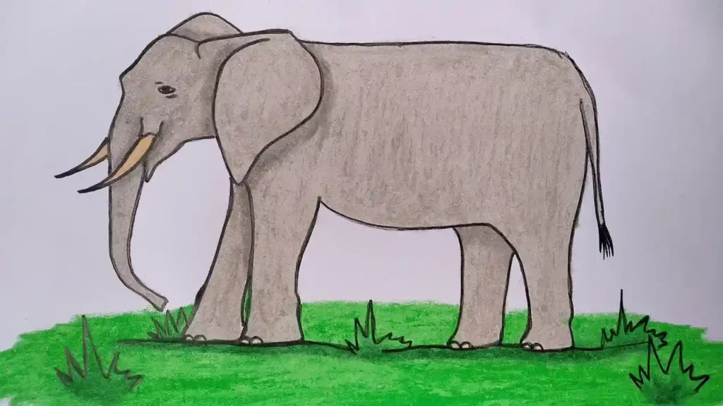 Cara Menggambar Gajah Untuk Anak TK a